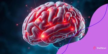 Neuroscience of learning and memory processes explained