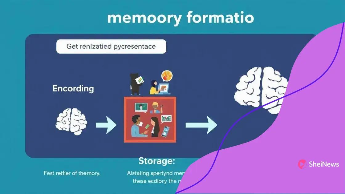 Memory formation: processes and stages